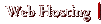 Web Hosting