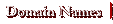 Doamin Names